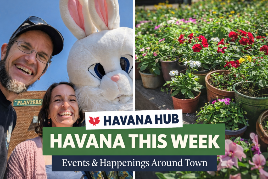 Doering's Doughs Havana Florida Bakery with easter Bunny at Havana Market